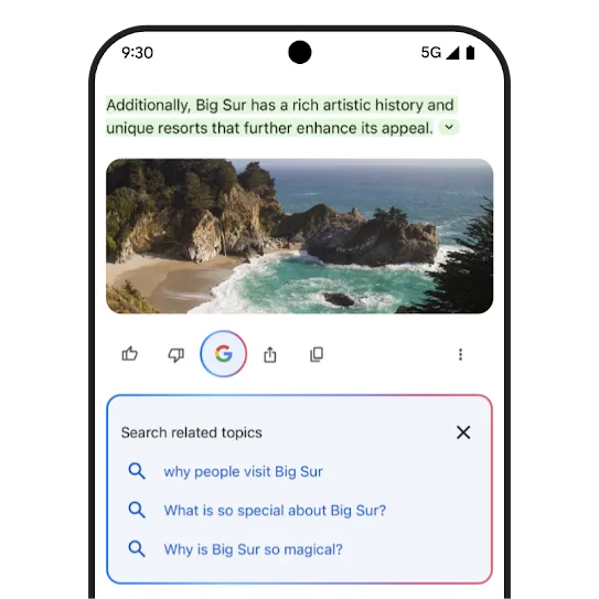 Gemini Double-check graphic
