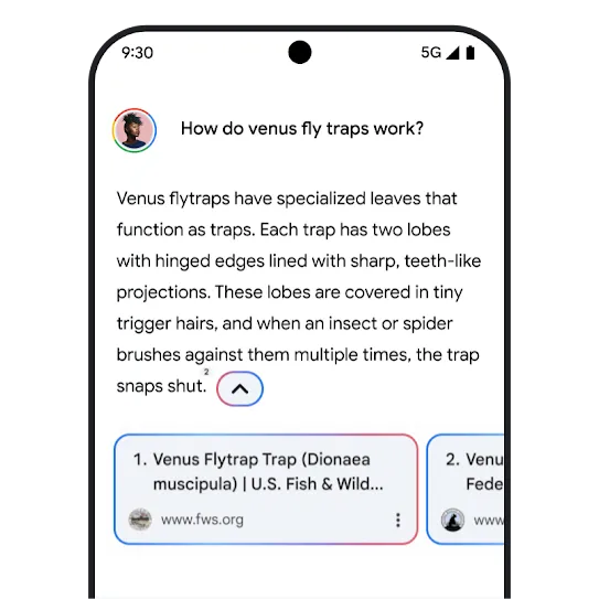Gemini related links graphic